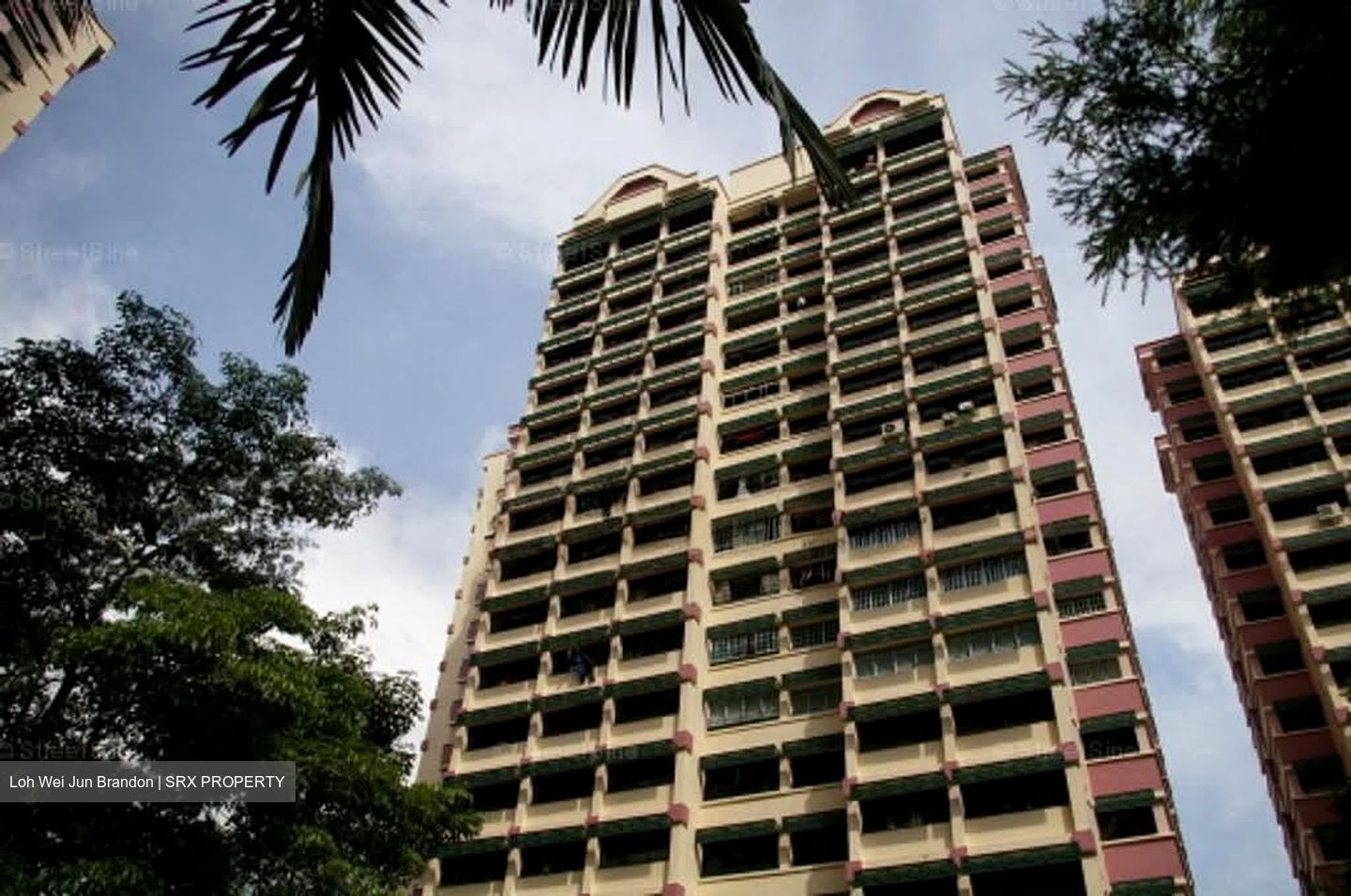 Blk 290E Spring View (Bukit Batok), HDB 4 Rooms #625152671